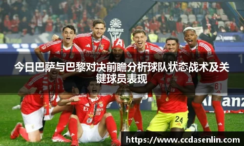 mk体育官网