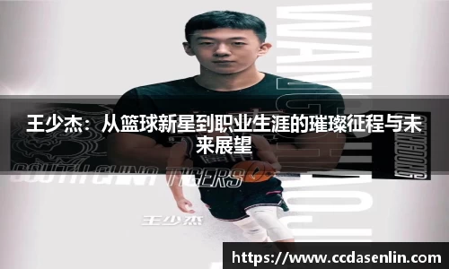 mk体育平台