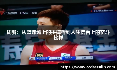 mk体育官网入口